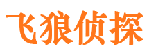 扶沟外遇调查取证